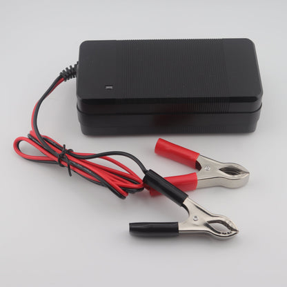 Crocodile Clips 29.2V 5A LiFePO4 LFP Battery Charger for 8S 24V Battery