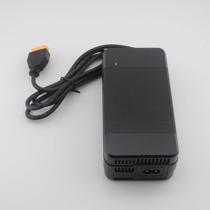 XT90 29.2V 5A LiFePO4 LFP Battery Charger for 8S 24V Battery